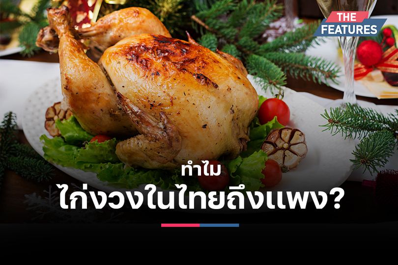 ไก่งวง